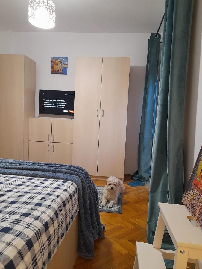 La Rossa Appartement Braşov Buitenkant foto